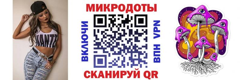 Купить закладки  Макушино  Псилоцибиновые грибы Cubensis 